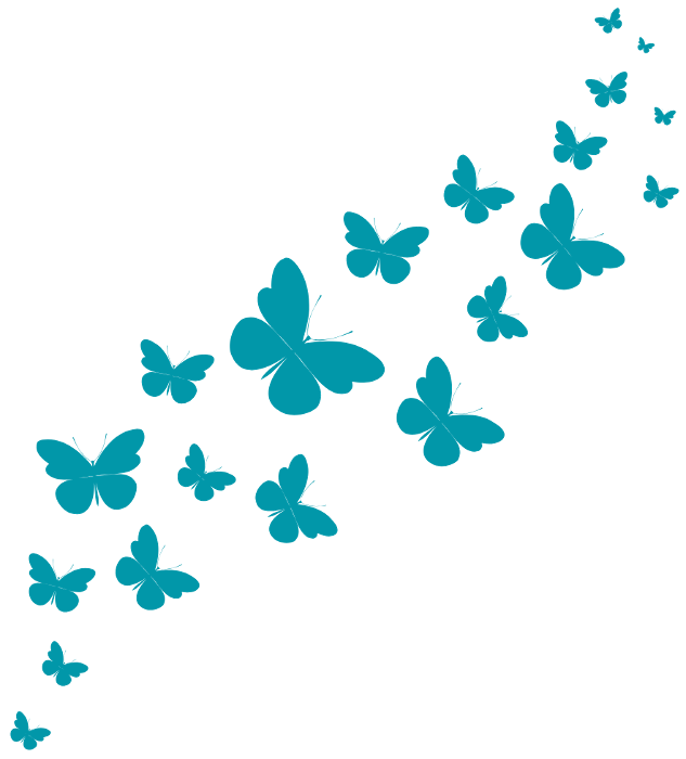 A row of butterflies