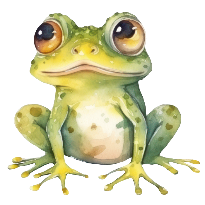 An illustrated frog