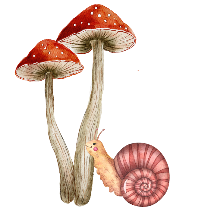 A cartoon snail and two mushrooms