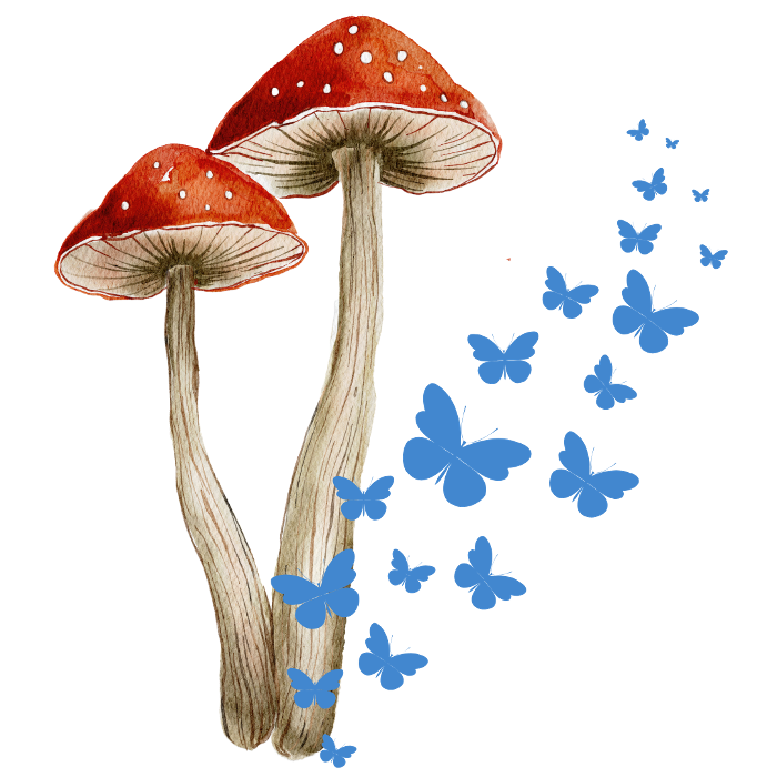 Two mushrooms and blue butterflies