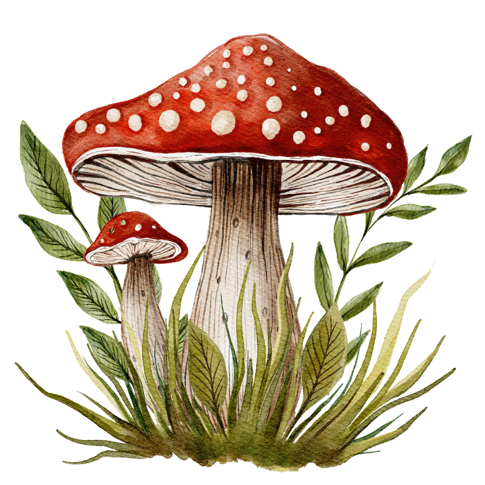 Two Mushrooms