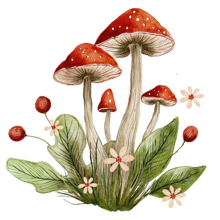 Four mushrooms and flowers