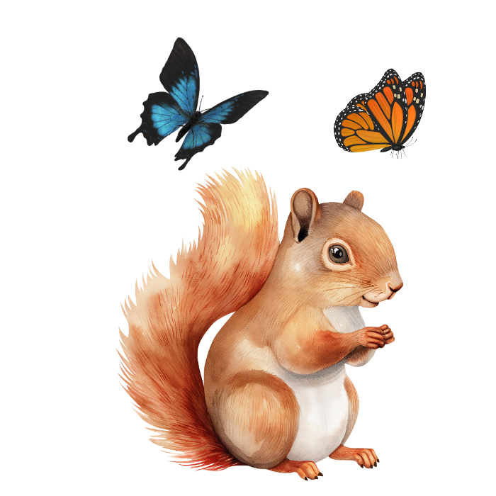 A squirrel and two butterflies