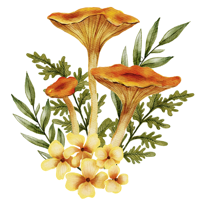 Orange mushrooms and flowers